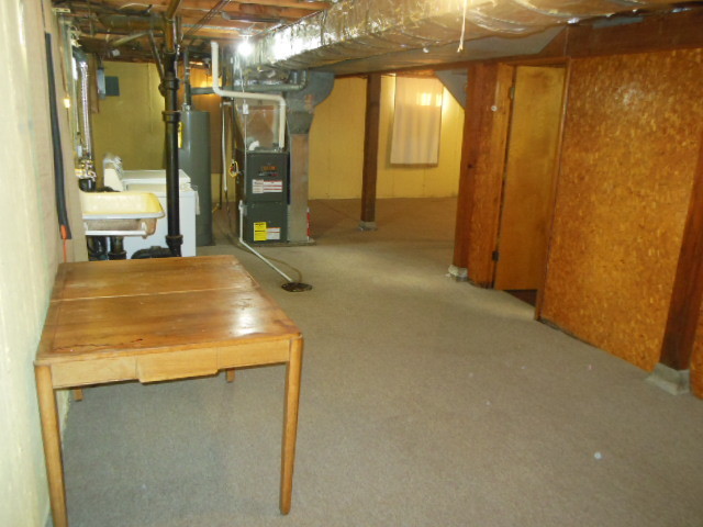 Basement - 1727 Dill St