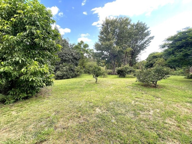Building Photo - 240 Aulii Dr