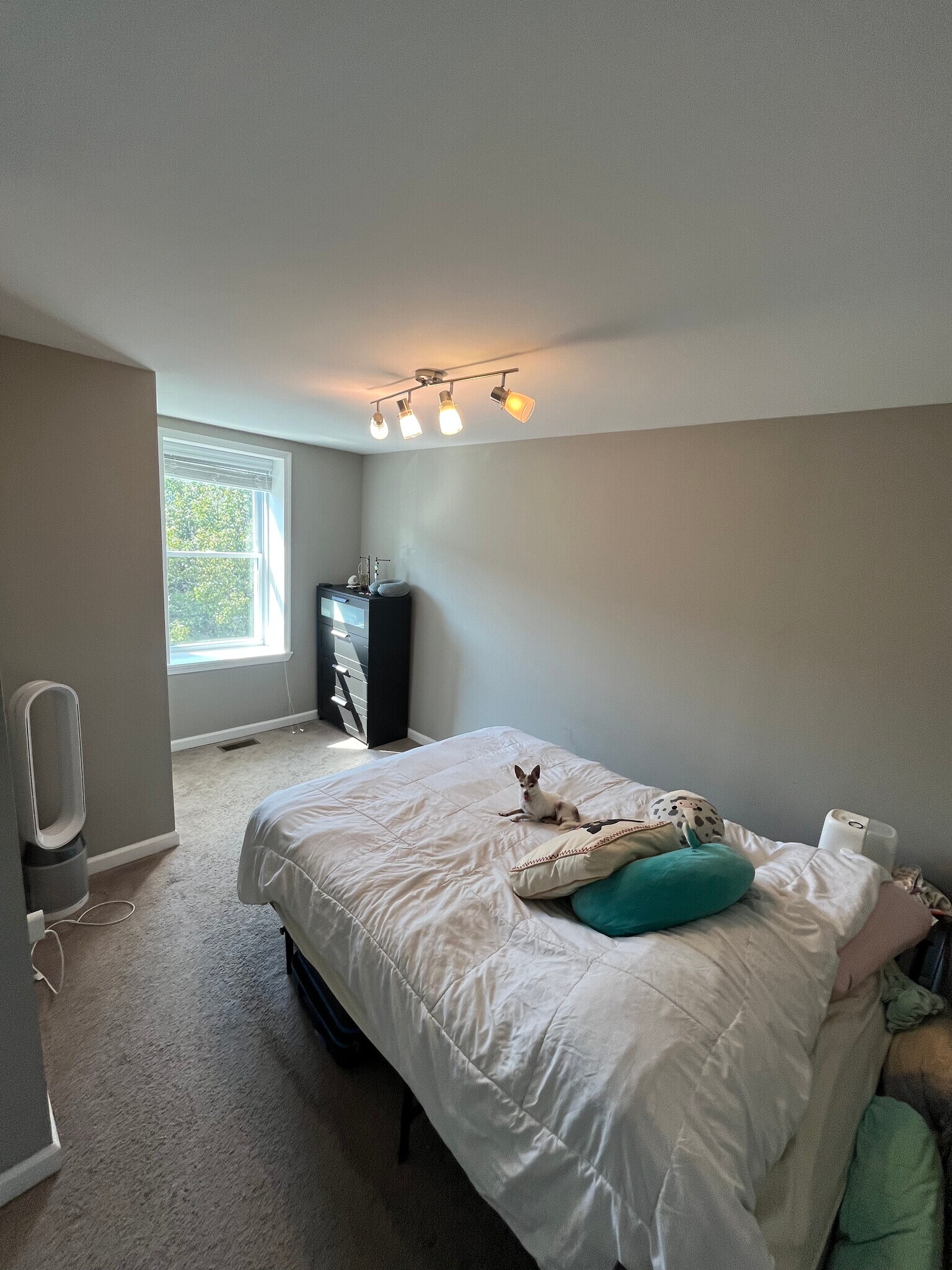 Building Photo - 112 Seville St