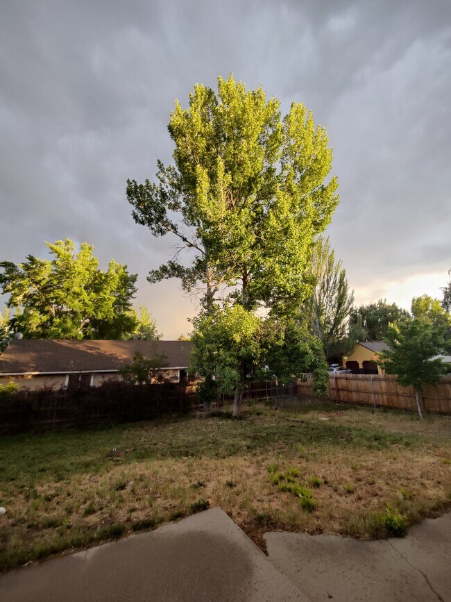 Building Photo - 3801 E Mallard Ln