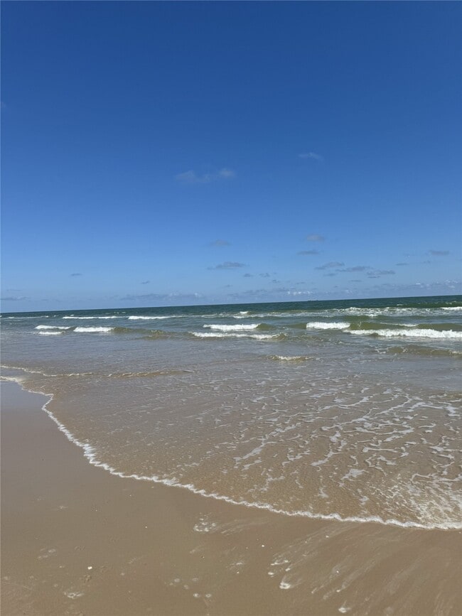 Building Photo - 3114 Shady Creek Ln