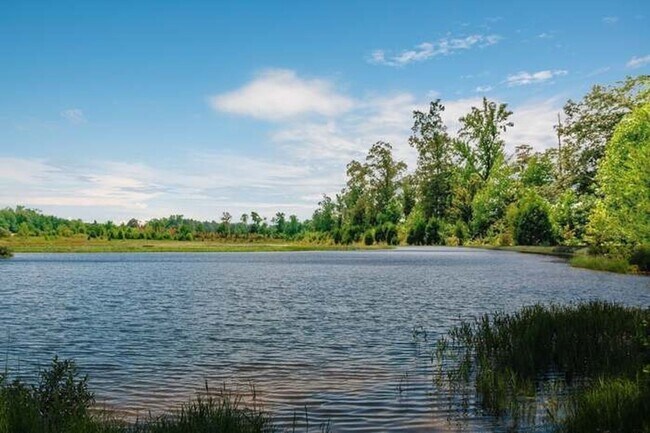 Building Photo - **COMING SOON** Beautiful 3 Bedroom, 2 Bathroom Home — Minutes from Fort Campbell and the 101st P...