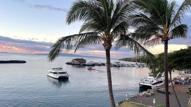 Building Photo - 30 Hauoli St