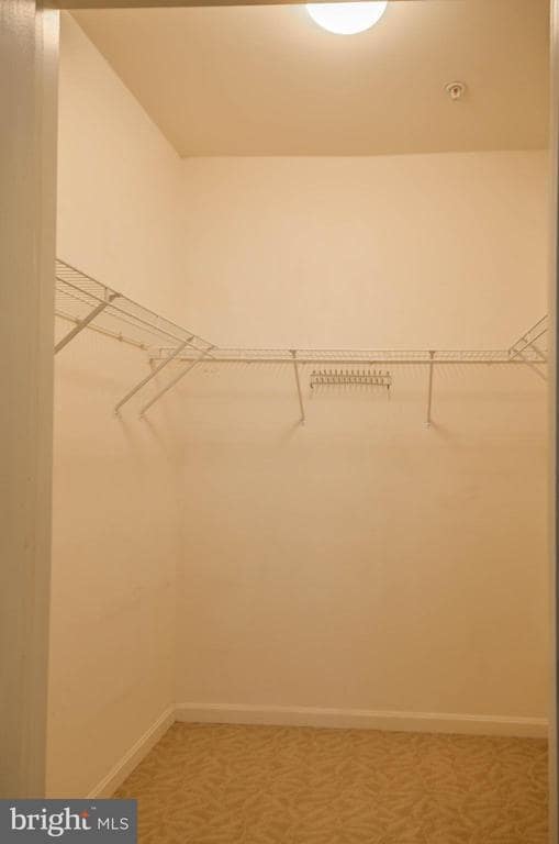 Building Photo - 4950 Brenman Park Dr