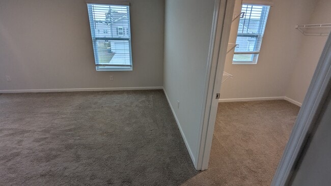 Building Photo - 497 Coconut Dr