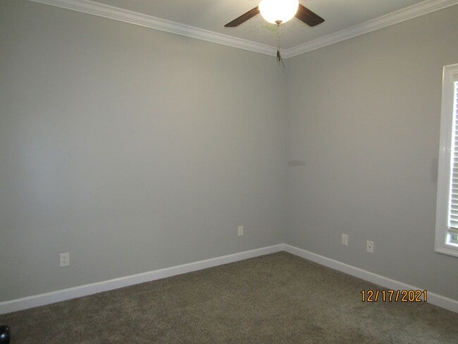 Building Photo - Available February!