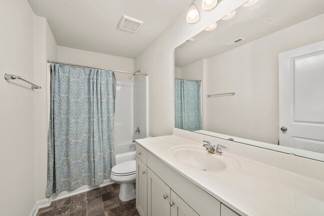 Hall Bath - 940 Robbie Jackson Ln