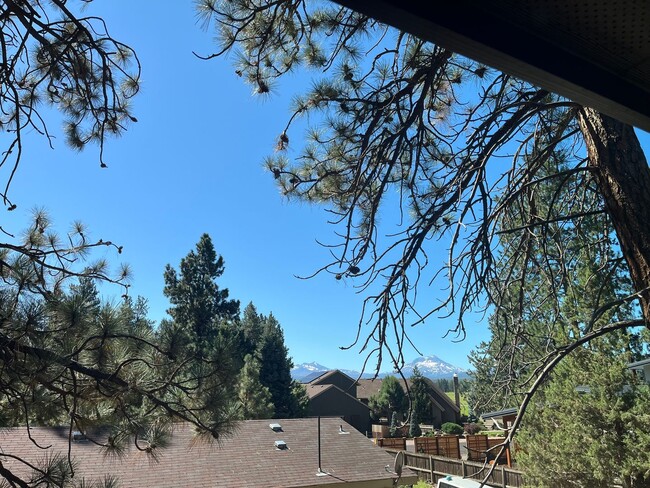 Building Photo - Spectacular BRAND NEW 1-bed/1-bath apartment with Mt Views! ***Utilities included!***