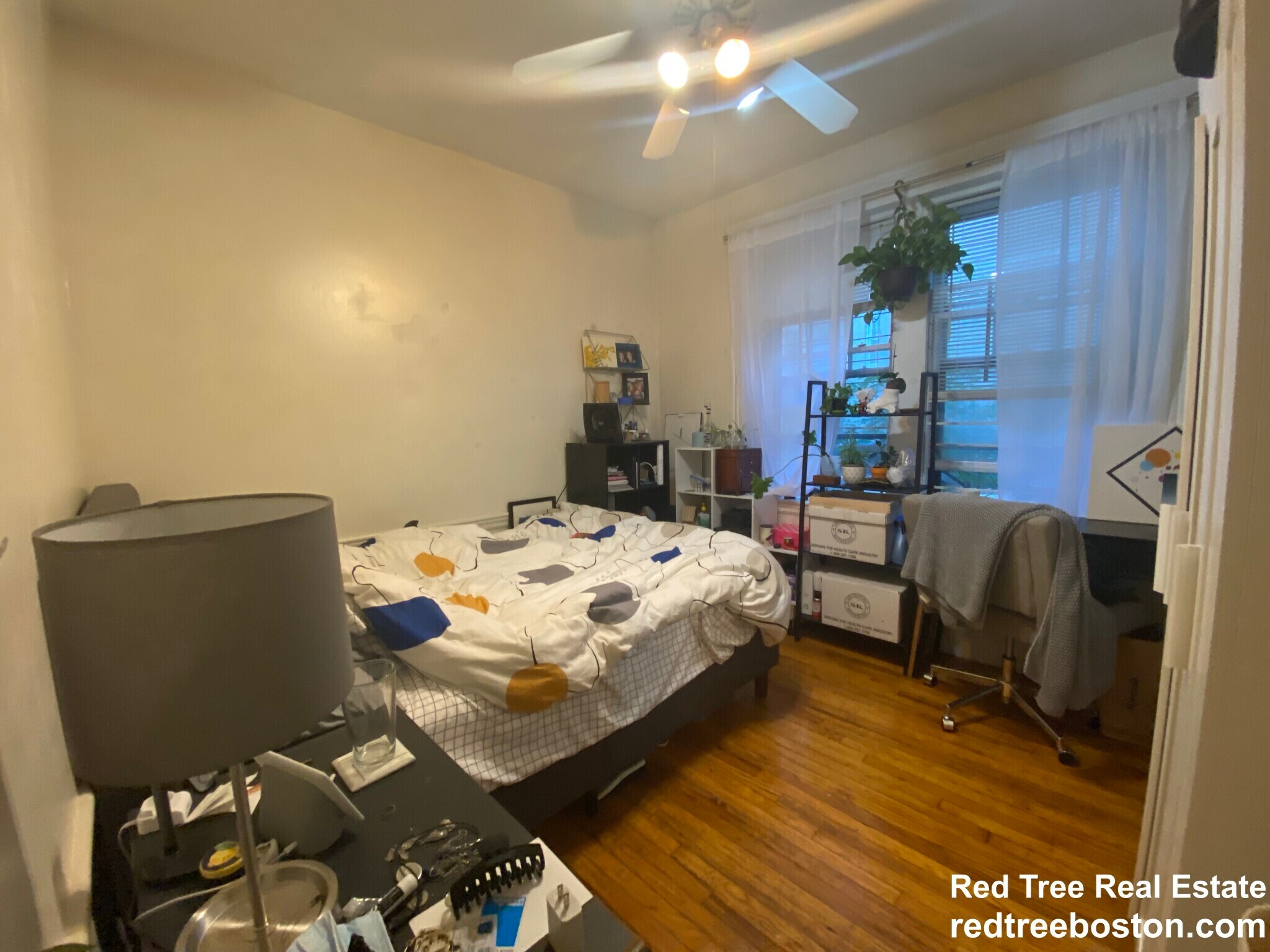 Building Photo - 55 Lanark Rd