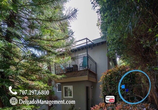 Building Photo - Benicia! Large 2/1 available soon!
