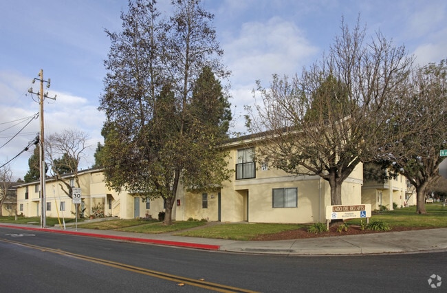 Primary Photo - Lado Del Rio Apts