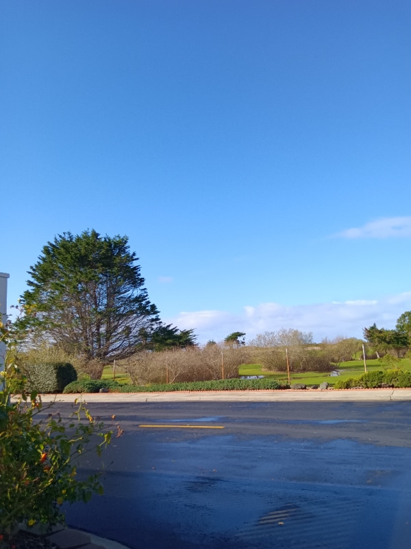 Building Photo - 319 CA-1