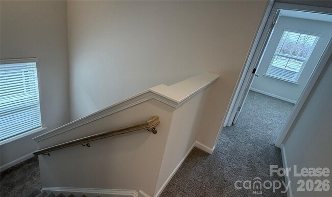 Building Photo - 3636 Pamlico St