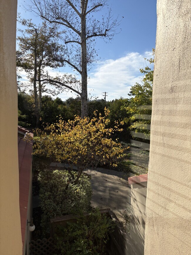 Building Photo - 1115 Creekside Way