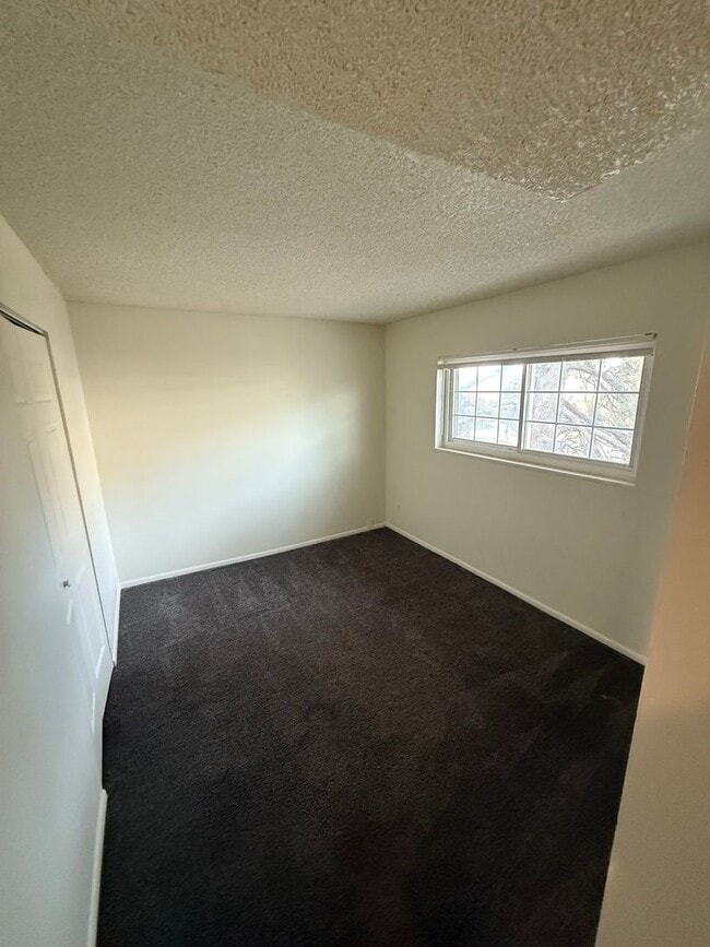 Building Photo - Spacious 3 Bedroom 2 Bathroom Condo in East Denver!