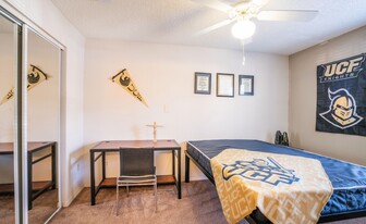 Building Photo - 4511 Silver Knight Way