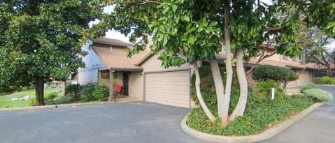 Building Photo - 1938 Bechelli Ln