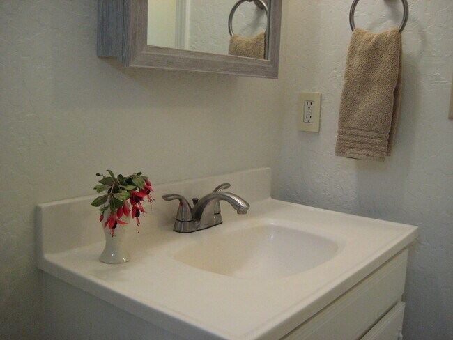 Bathroom with new fixtures. - 567 San Geronimo Valley Dr