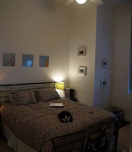 Building Photo - 48 Forest St