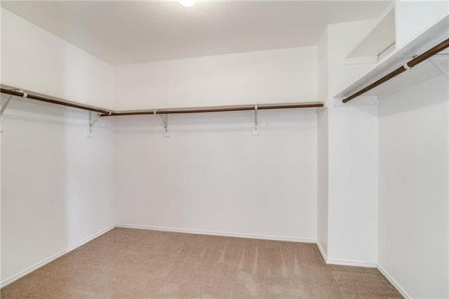 Building Photo - 2096 Royal Acres Trail