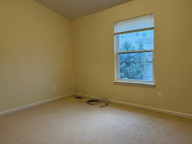 Building Photo - 1346 N Bay Dr