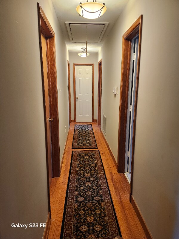 Building Photo - 8109 Concho Rd