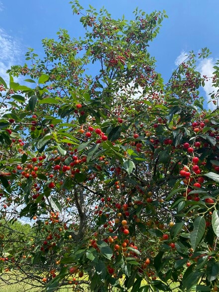 Building Photo - 21101 S 96th St