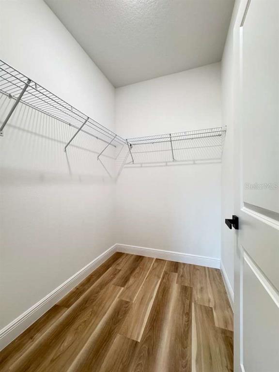 Building Photo - 8419 N Saxon Way