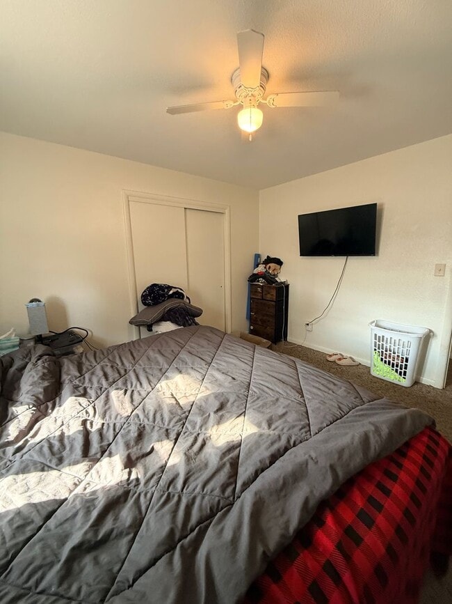 Building Photo - 1521 Thompson St