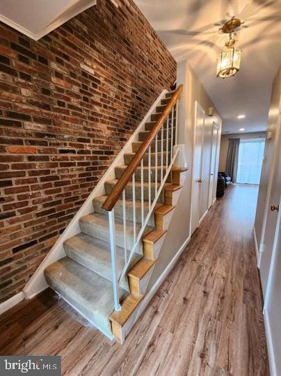 Building Photo - 3714 Steppes Ct