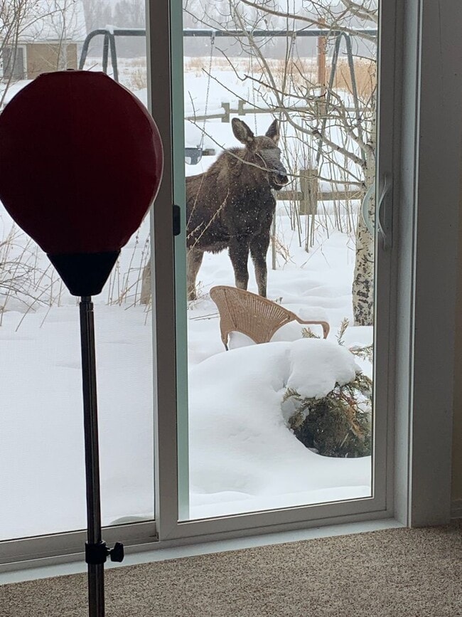 Building Photo - Spacious  3 bedroom 2.5 bathroom townhouse