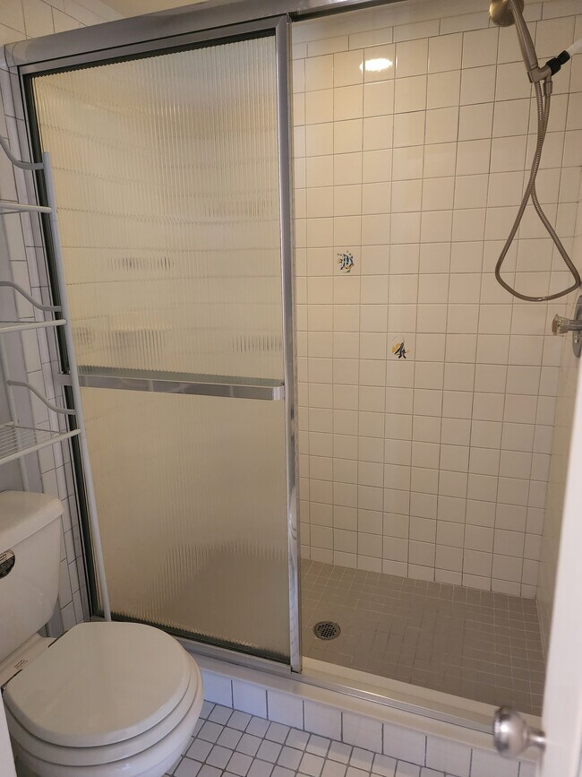 Master shower - 13121 Burningtree Ave