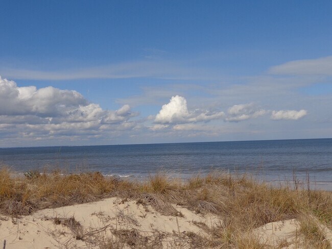 Building Photo - EAST OCEAN VIEW