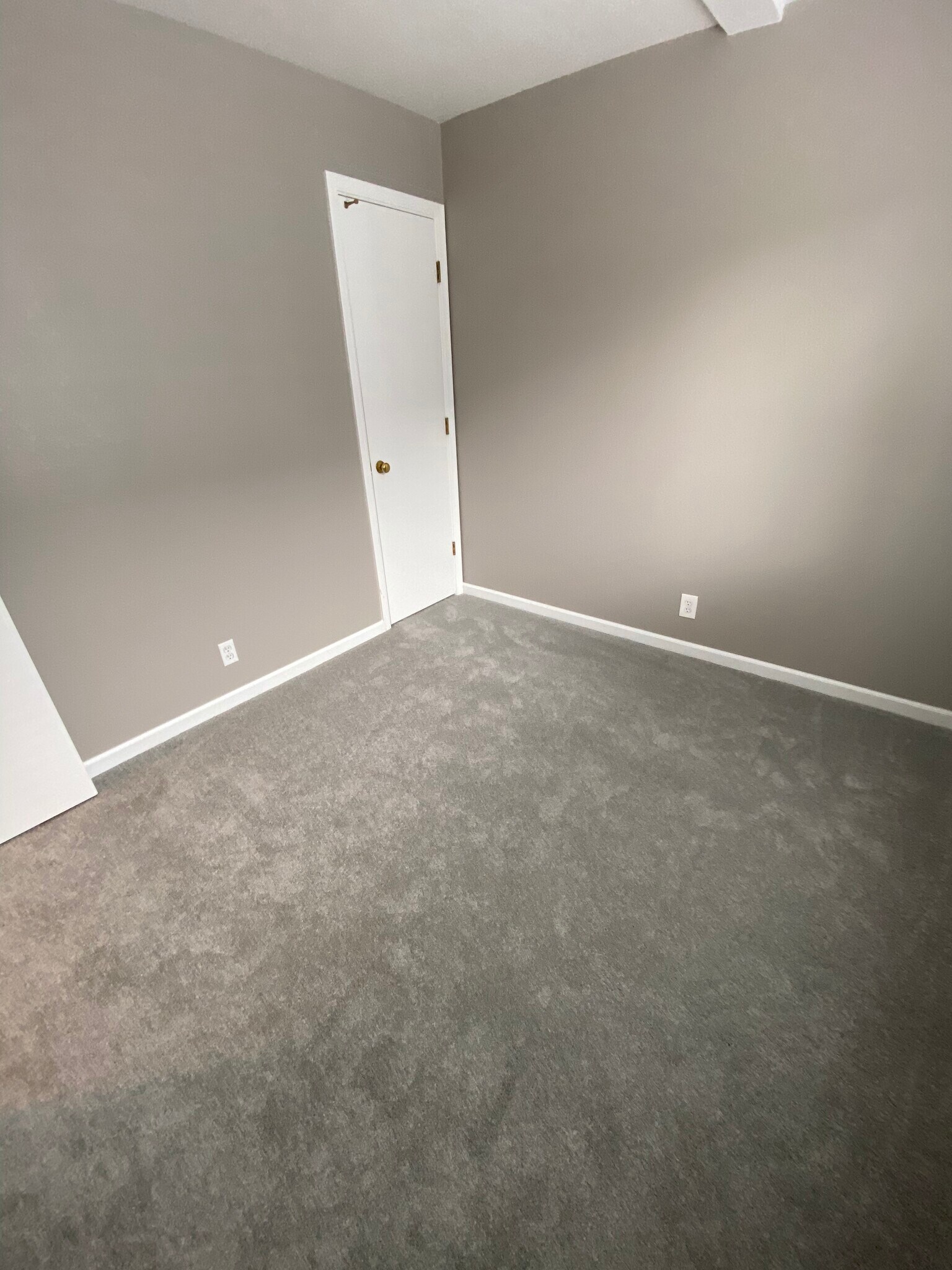 First floor bedroom or home office with new paint and carpet - 443 Willow Ave