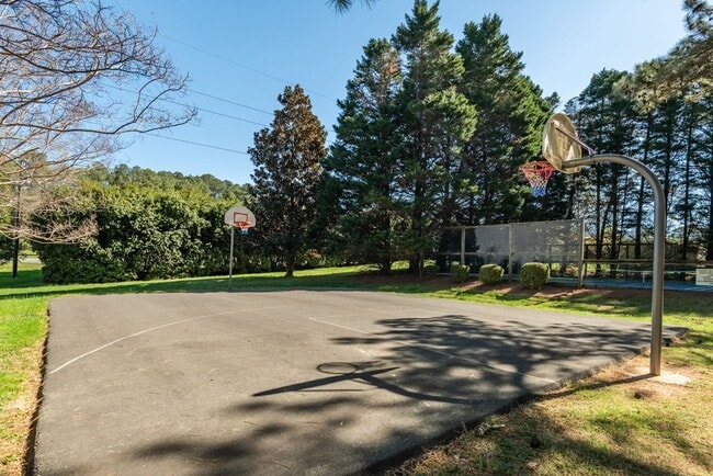 Building Photo - Get March Free!! Charming Home on Large Lot in Chapel Hill!