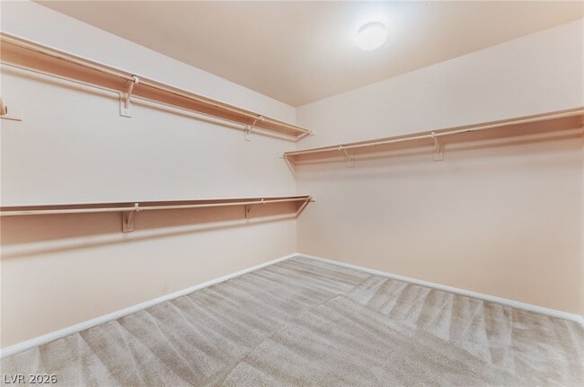 Building Photo - 3516 Pelican Brief Ln