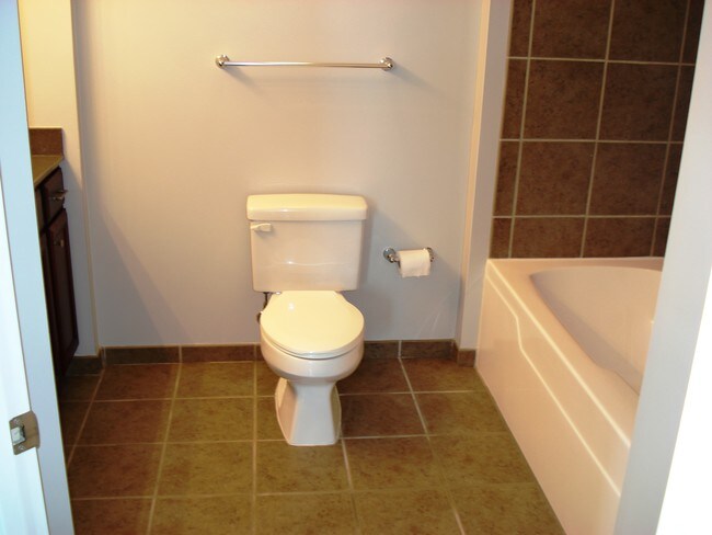 Bathroom - 1600 S Indiana Ave