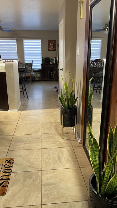 Building Photo - 54 Basin Elm