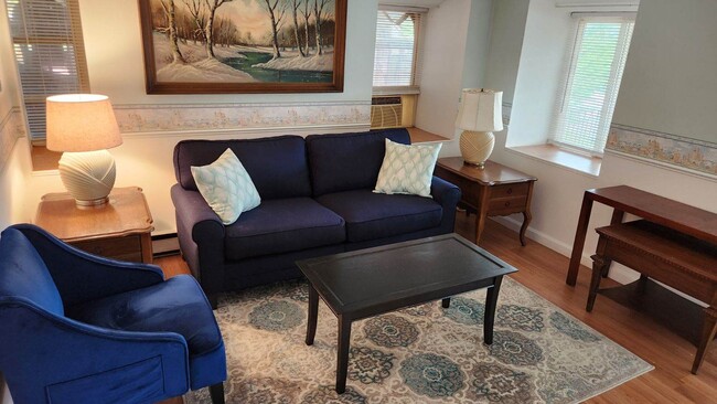 Newly Furnished Living Room - 255 Lake Dr