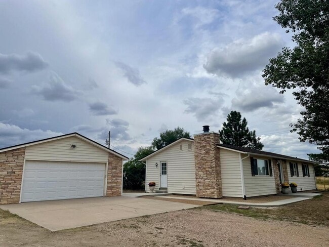 Primary Photo - 9949 Tammy Ln