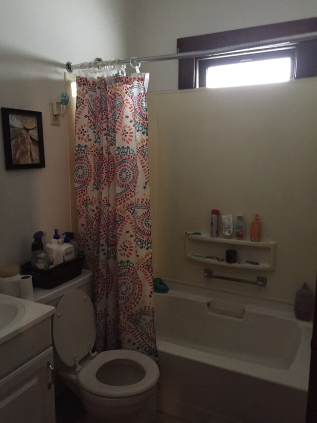 bathroom - 117 W 16th St