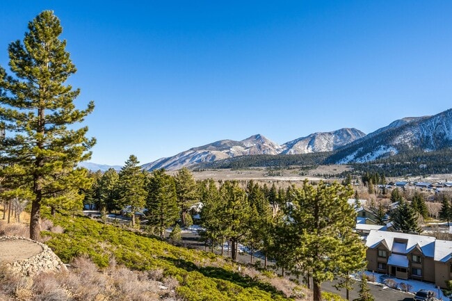 Building Photo - Mountain View Haven