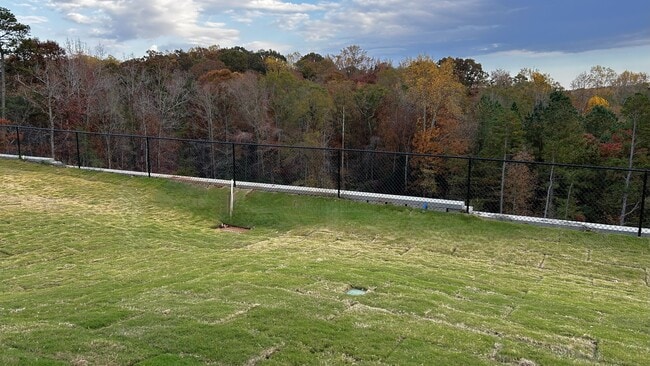 Building Photo - 210 Timber Fls Dr