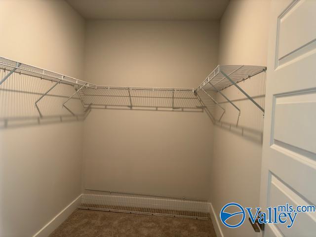 Building Photo - 125 Clift Farm Dr