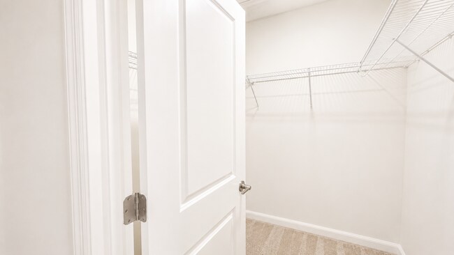 Building Photo - 3121 Novara Ln