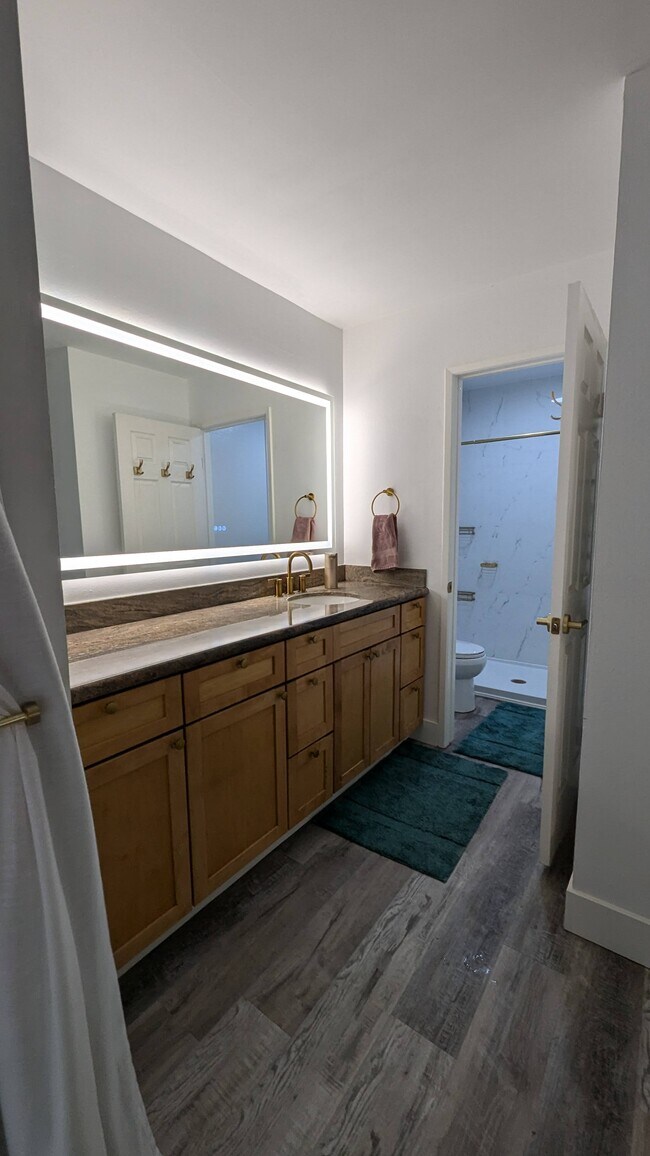 Master Vanity - 1605 Hotel Cir S