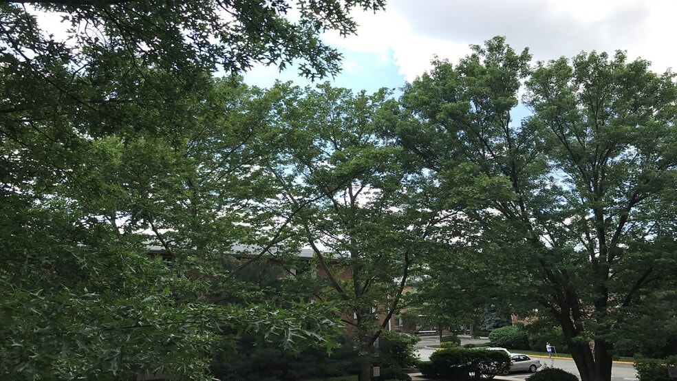 Building Photo - 45 John St