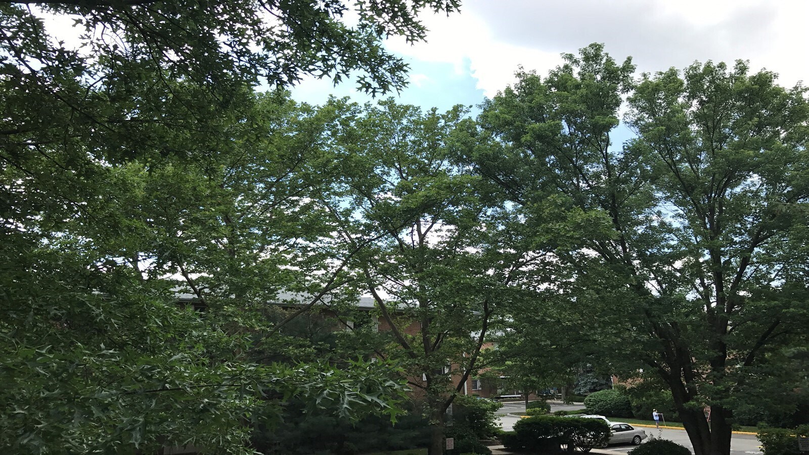 Building Photo - 45 John St