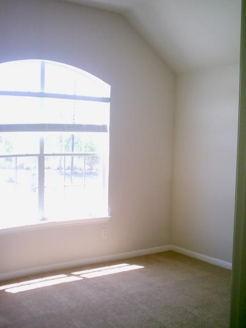 Building Photo - 1002 Mesquite Hollow Pl