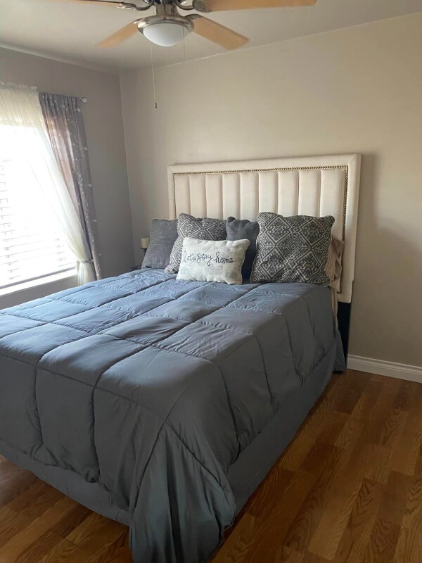 Building Photo - 3651 Steele St